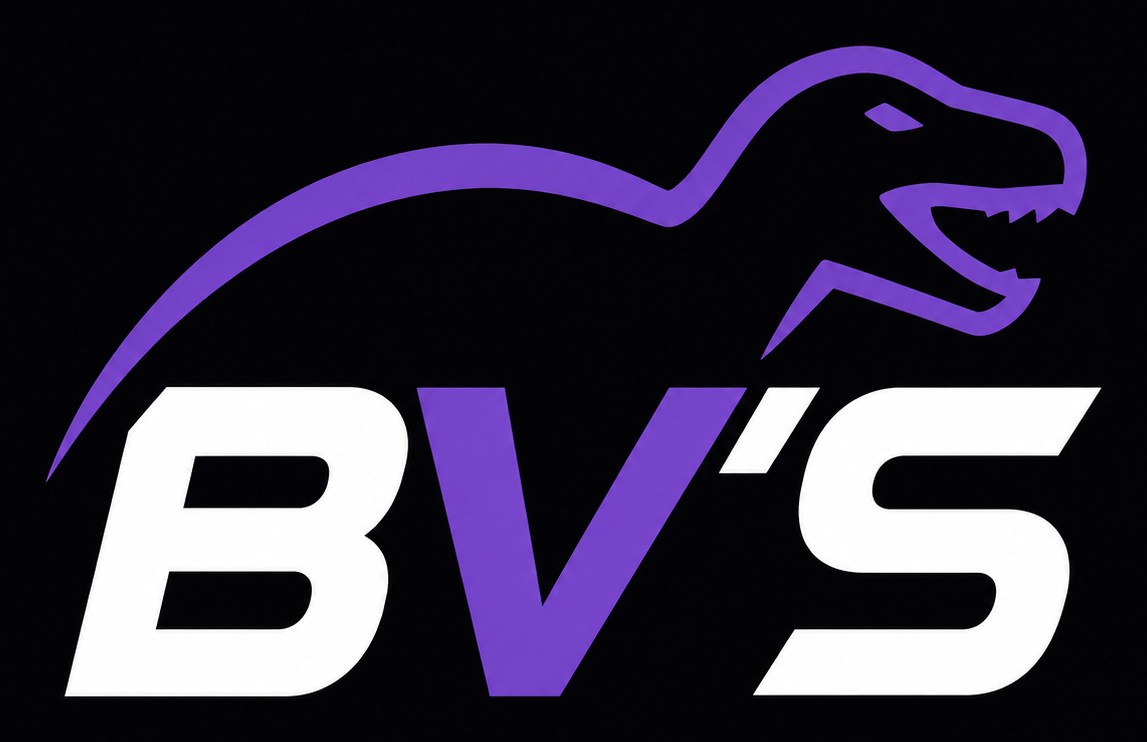 Braden's Values logo